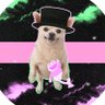 TheFlagShipHasLanded 的头像