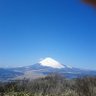 たみー だっしゅ 的头像
