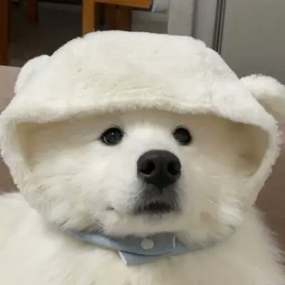 baoru0000's profile picture