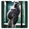 Bitarna profil fotoğrafı