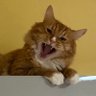 xxx xxx's profile picture