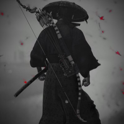 Steve's profile picture