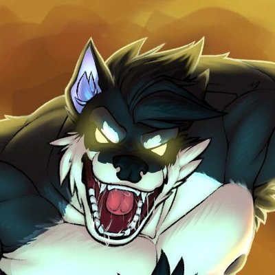 Leitis d'Lop 🐺🇱🇹🇫🇮's profile picture