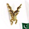Pak army fan 的头像