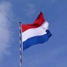 Tom van der Linden 🇳🇱🇺🇸🇮🇱's profile picture