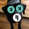 カスパーQ profil fotoğrafı
