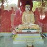 Madhuresh's profile picture
