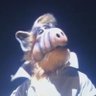 Alf o eteimoso profil fotoğrafı