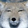 Profilbild von 空