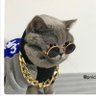 Neato Bandito's profile picture