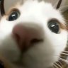 Profilbild von 我想想