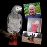 Laurens Greven's profile picture