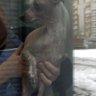 Фото профиля просто читатель
