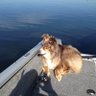 mac's profile picture