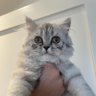 Profilbild von aby