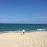 Sean 的头像
