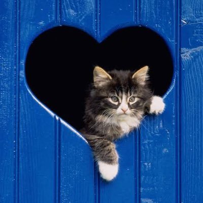 alpeee's profile picture