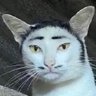 Profilbild von xaggerate