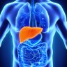 Liver Regenerator 的头像