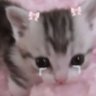 Profilbild von ♡₊˚ 🦢Majito・₊✧