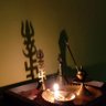 TheSoldier@Heart (Amarrdeep Chowdhuury)'s profile picture