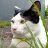 Profilbild von Jeje Who
