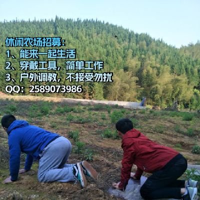 农场主's profile picture
