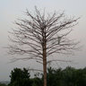 Фото профиля Edux