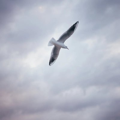taminhvuong2021's profile picture