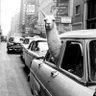 Im a spitting llama! 🦙 profil fotoğrafı