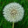 M.gh's profile picture