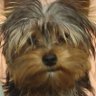 I👀U!'s profile picture