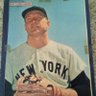 PJ_NYY Fan 6+ decades profil fotoğrafı