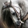 Фото профиля Farid Bentalbi