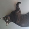 バカバカ profil fotoğrafı
