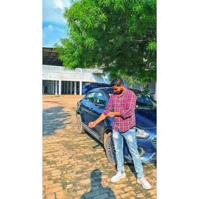 Sharkcasm 🦈's profile picture