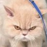 ฉันเล่าแล้วเธอห้ามบอกใครนะ's profile picture