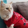jumper 的头像