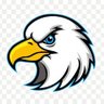peace bird's profile picture
