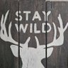 staywild 的头像