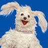 svb's profile picture