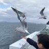 peko.3 profil fotoğrafı