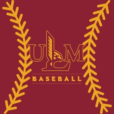 ULM_BSB's profile picture