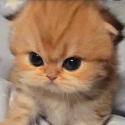 pspspaulaa's profile picture