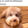 Profilbild von Vital Pavlov