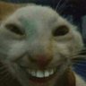 yÜکЋǺ's profile picture