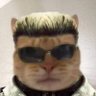 Hamza Alvi profil fotoğrafı