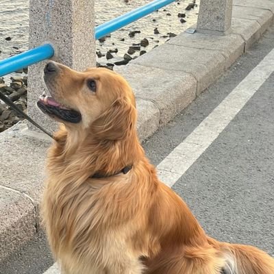 Zo's profile picture