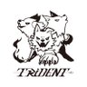 TRiDENT's profile picture