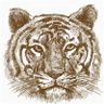 Profilbild von Crazy_Cat